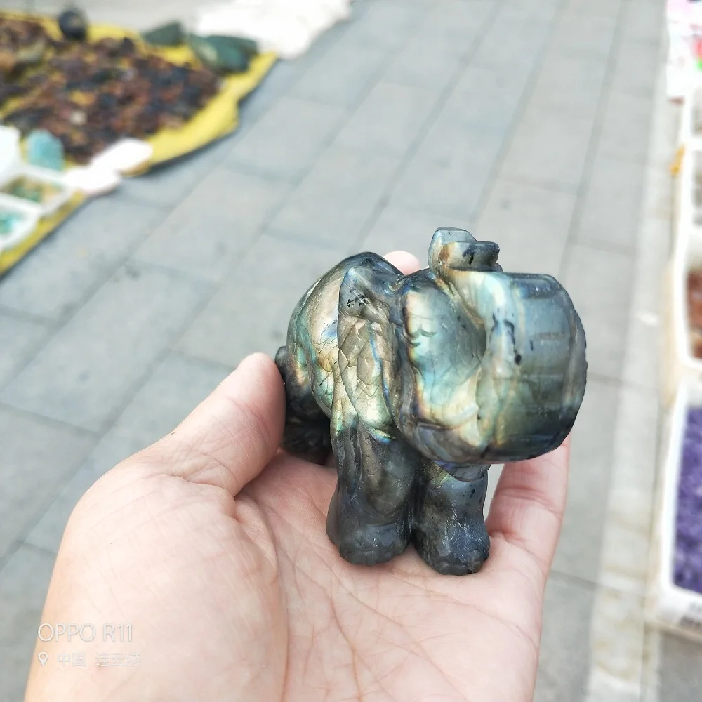IMG20181116084425