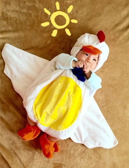 duck