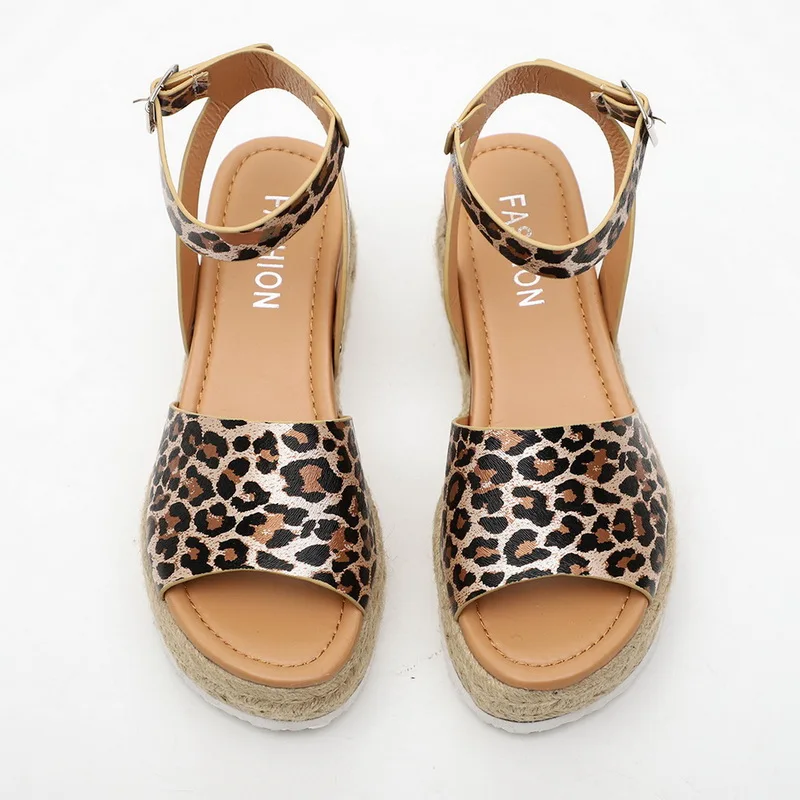 HTB1gSckOCzqK1RjSZPcq6zTepXaZ