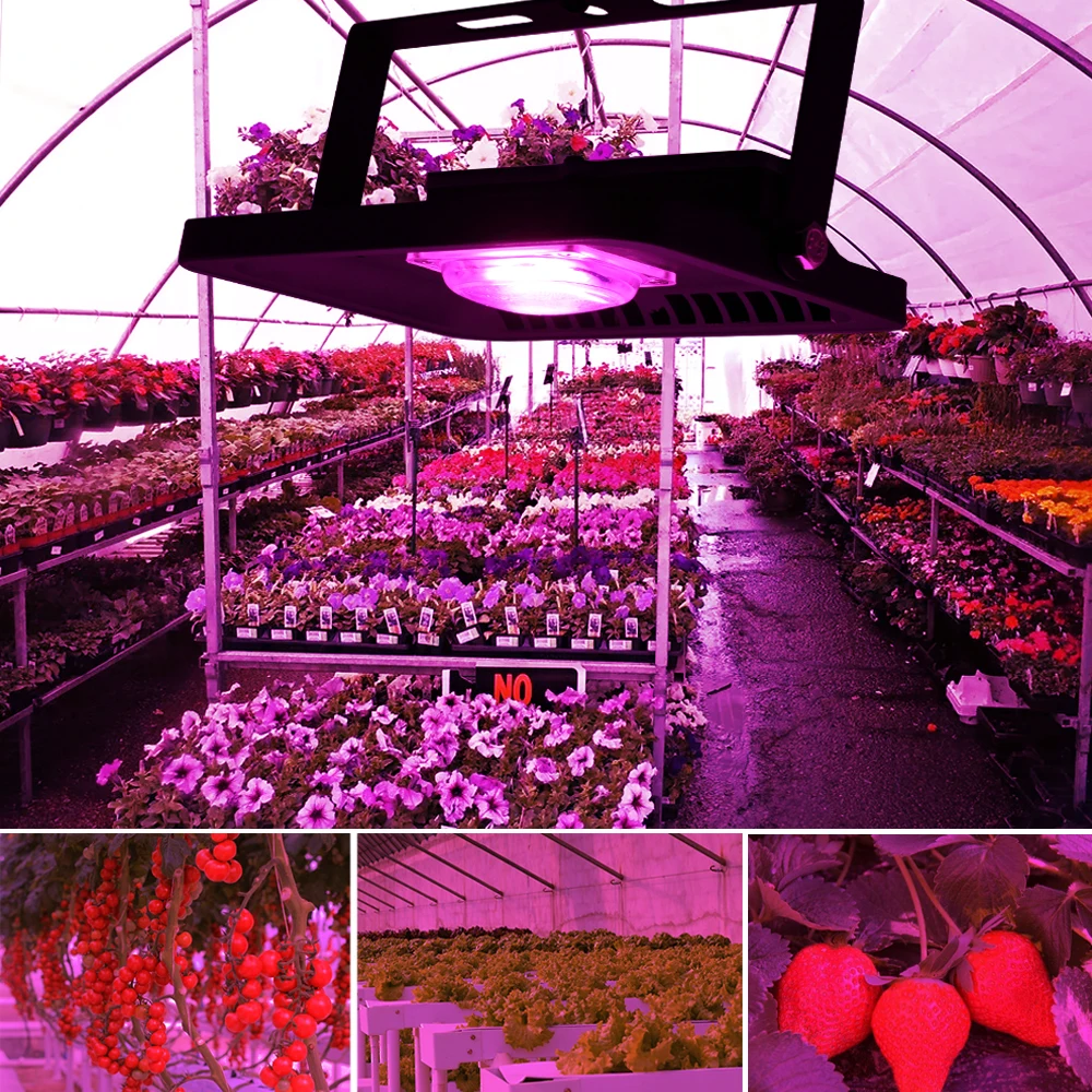 led grow floodlights  (18)