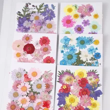 1 Лот смешанный цветок прессованный высушенный цветок сухие листья растения для эпоксидной смолы кулон ожерелье Изготовление ювелирных изделий ремесло DIY аксессуары