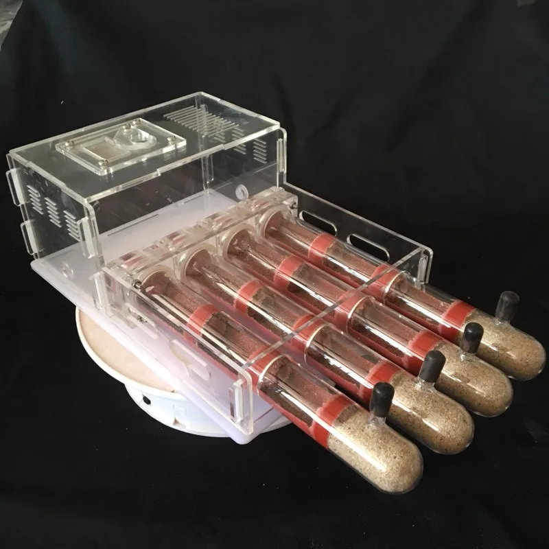

Acrylic Glass Ant Farm with Feeding Area Ant Nest Ants House Factory Insect 4 Test Tubes Pet Anthill