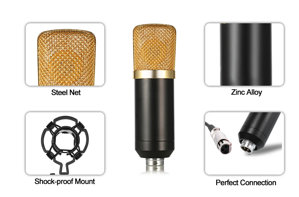 BM 700 Condenser Microphone 2