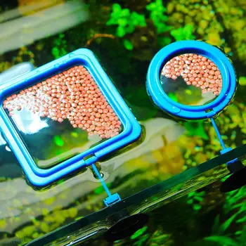 

Square Circle Aquarium Feeding Ring Fish Tank Station Floating Food Tray Feeder Accessory Water Plant Buoyancy Suction Cup