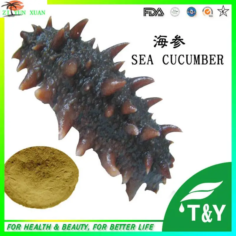 GMP factory supply natural sea cucumber(trepang) extract/ dried sea