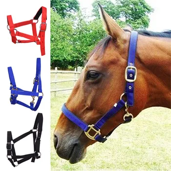 

New Arrival Thicken Woven Belt Horse Bridle Halter Headstall for Riding Competitions Game Horses Halters Equestrian