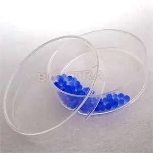 10Pcs Clear Petri Dishes with Lids Disposable Plastic Sterile Petri Dish Chemical Laboratory Supplies 60mm
