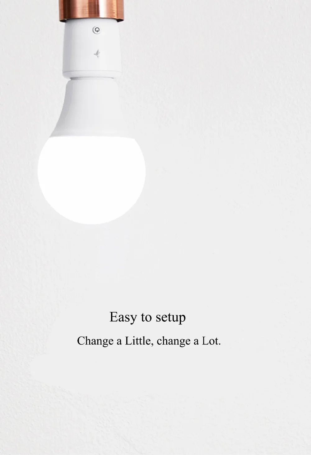 light socket -b-19