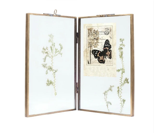 Image result for herbarium glass