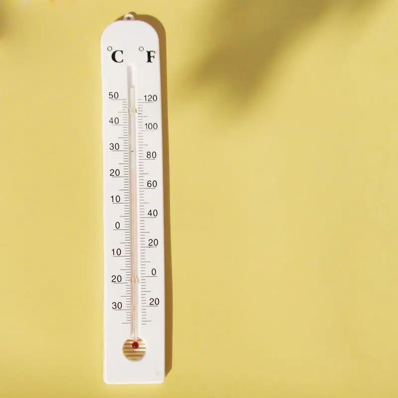 Oversized Indoor Thermometer Thermometers for Plant or Studio