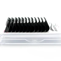 VIP customized C/D/DD 8-20mm Faux Mink Individual Eyelash Lashes Maquiagem Cilios For Professionals Soft Mink Eyelash Extension 2