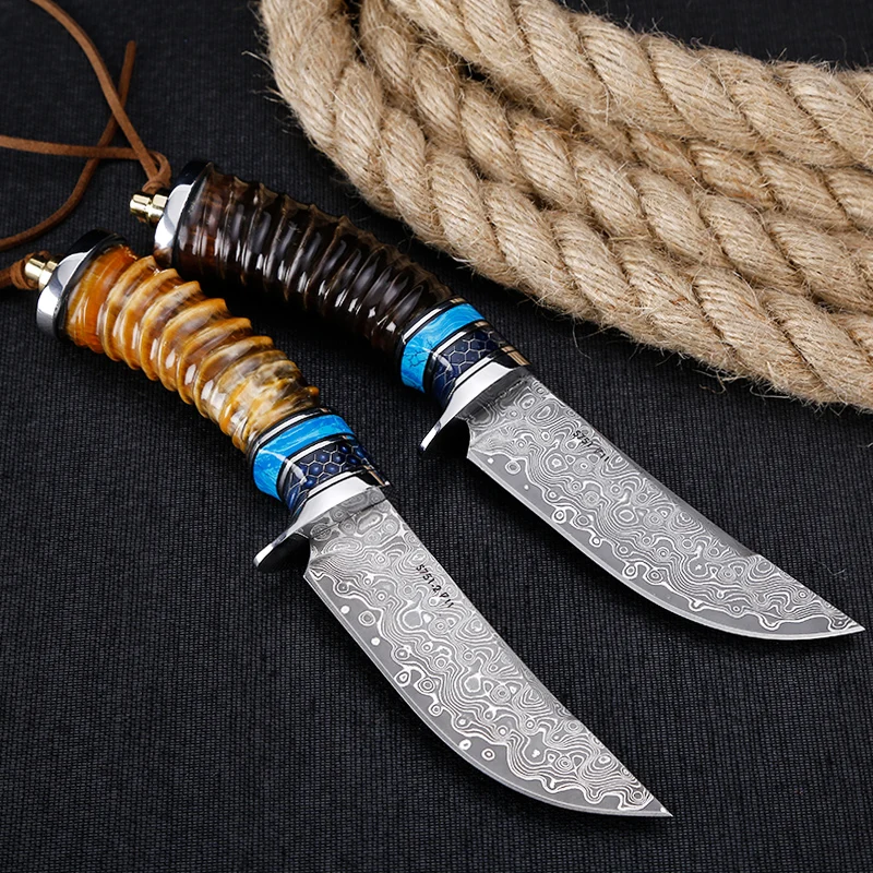 Sanrenmu S751 Fixed Blade Knife Damascus Steel Blade Outdoor Camping Tactical EDC Tool Collection Gift