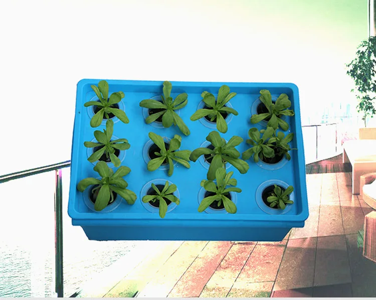 VICTMAX 1 Set 12 Holes Plant Site Hydroponic System Garden Nursery Pots Garden Grow Kit Box