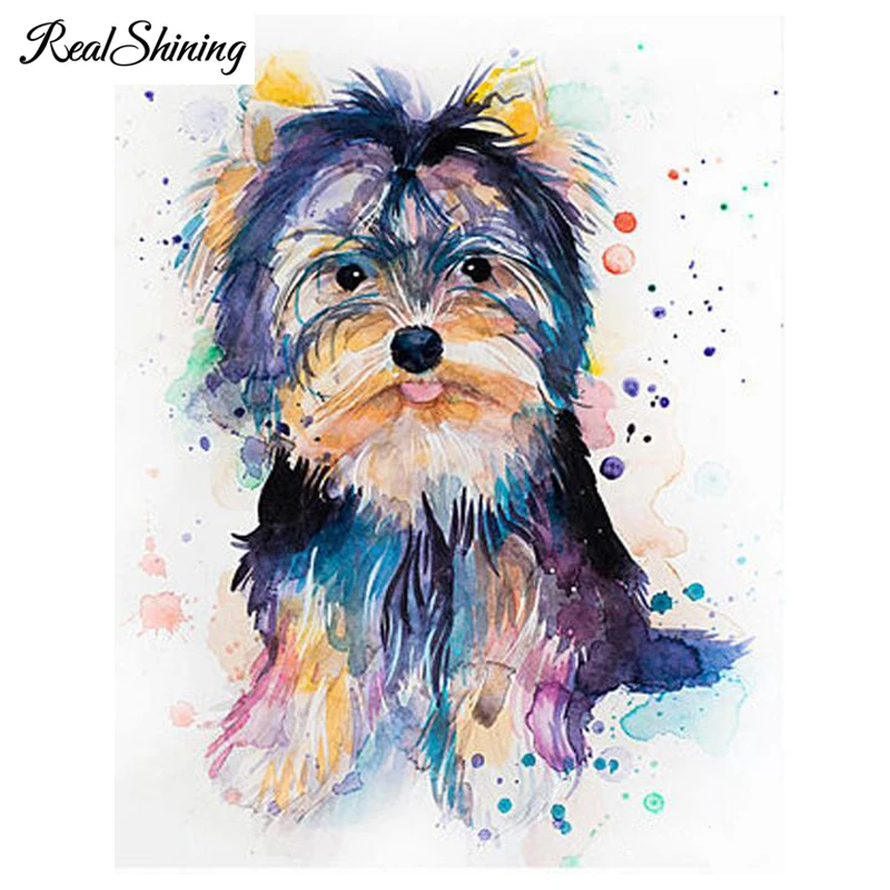 Yorkshire Terrier Pet 999