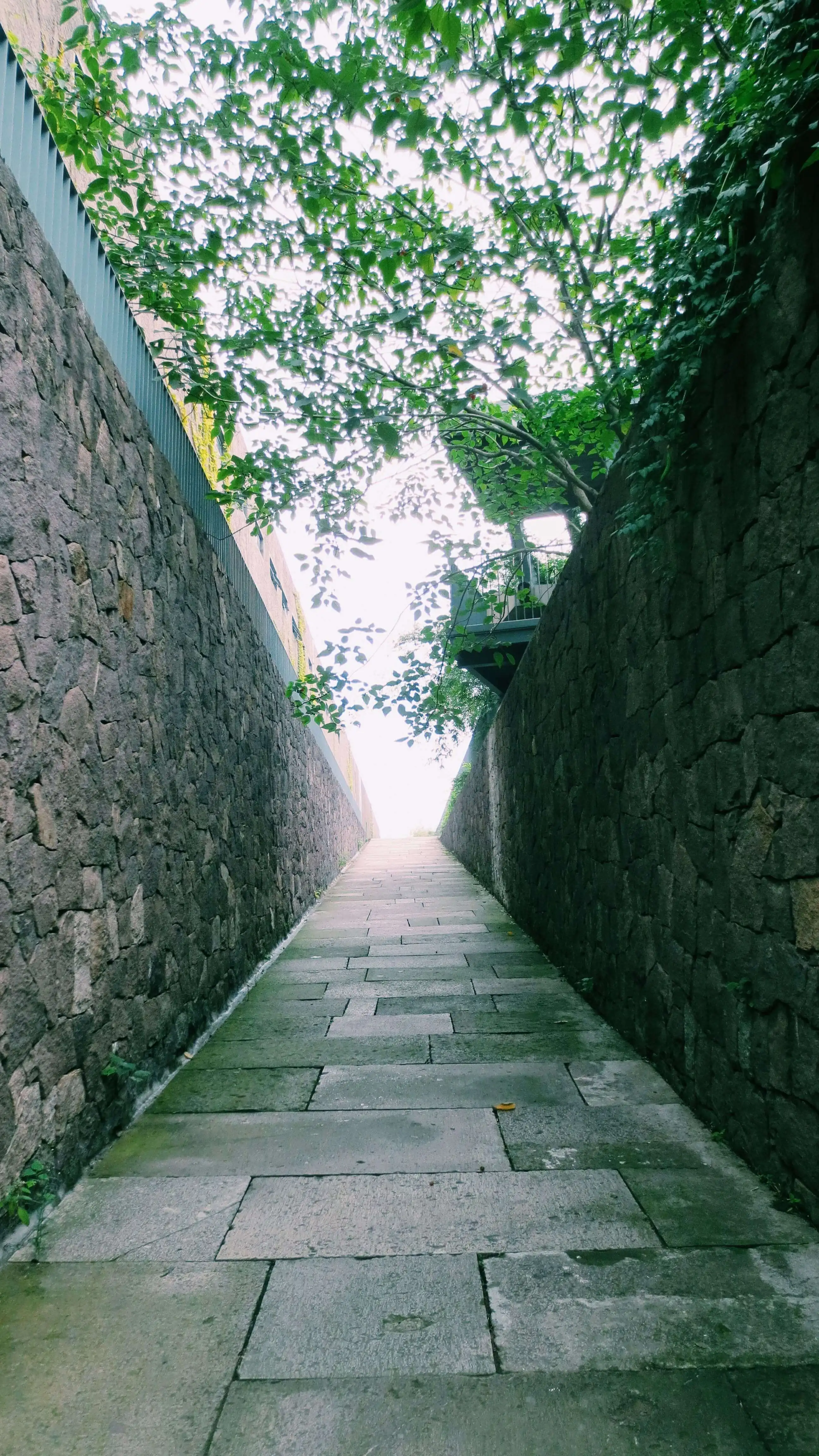 通向「幸福」的阶梯