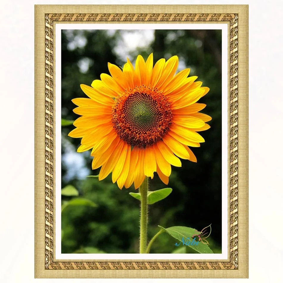 

sunflowers Round diamond mosaic painting diamond embroidery cross stitch - 5d diy full crystals icons sale 3913R