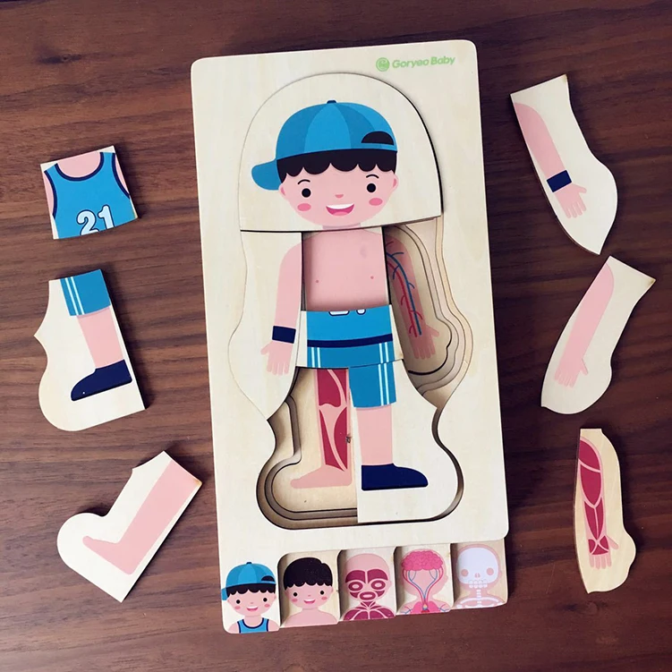 Деревянный человеческого тела головоломки для детей, развивающие ToysBoys тело девушки Структура Деревянные Детские пазлы Дети Образование