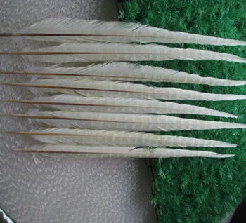 

Wholesale 50 pcs beautiful white Pheasant Feather 16-18 inches 40-45 cm free shipping