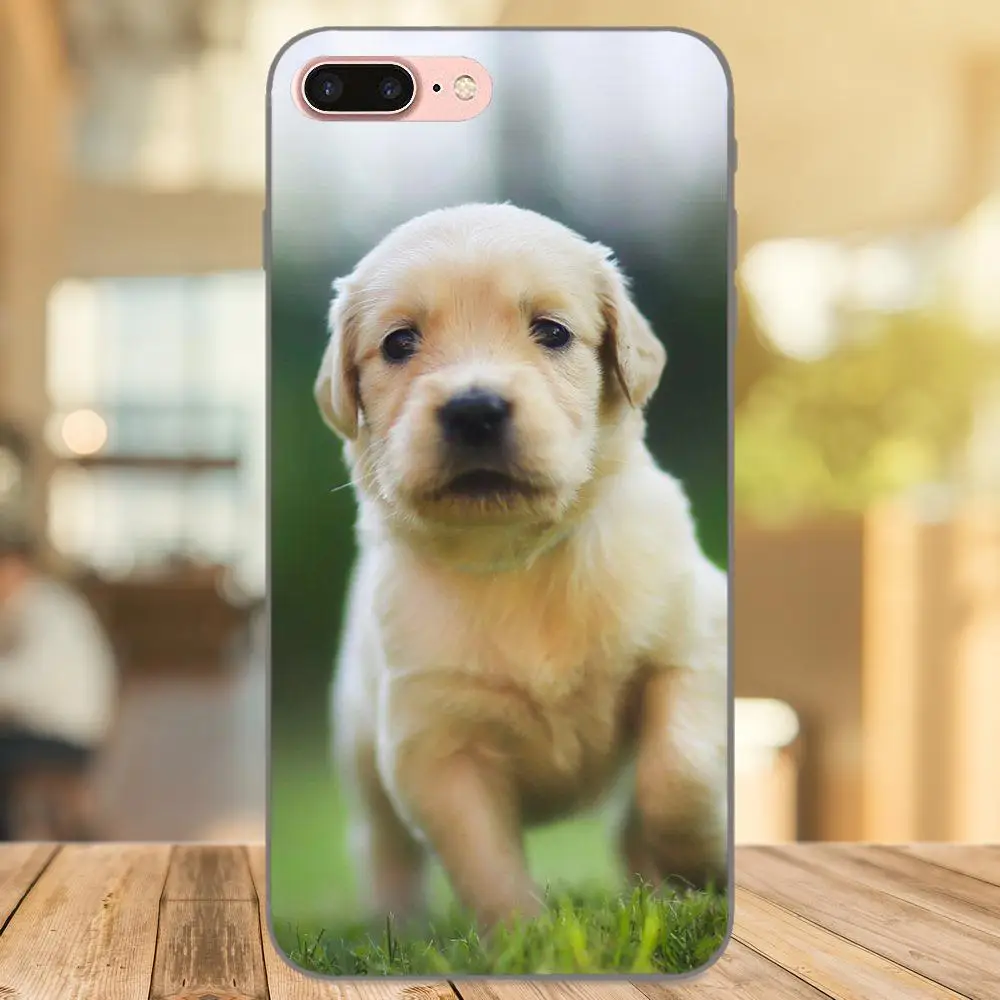 Милые животные золотистый ретривер собака для Huawei Y3 Y5 II Y6 Y7 Y9 nova 2 Plus 2S 3i 4 Lite Prime 2017