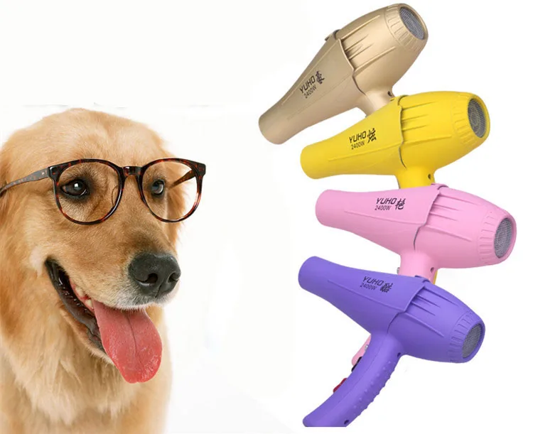 Hair Dryer2200 2400W Super Wind Pet Hair Dryer Golden Retriever Teddy