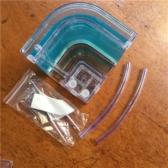 transparent-ant-nest (18)