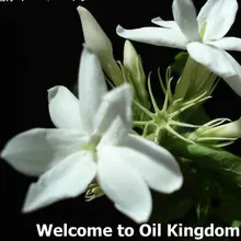 Free shopping skin care 100% pure plant Essential oils French Jasmine Oil 30ml Firming Skin Whitening convergence