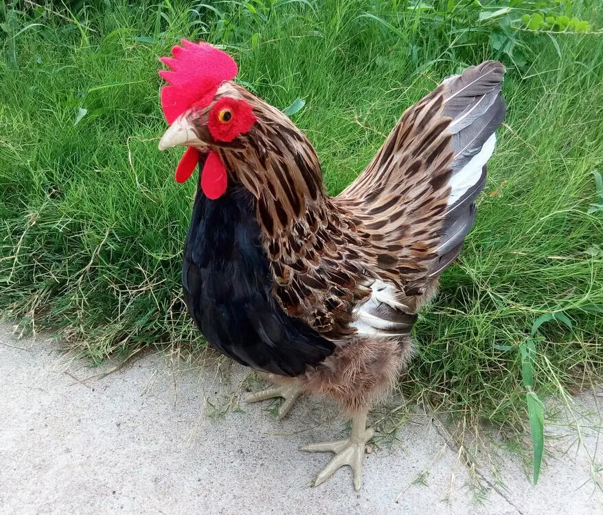 

creative simulation cock toy lifelike hen doll home decoration gift about 42x40cm