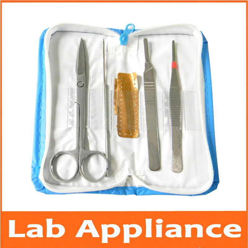 4pcs Educational Student Biological Anatomy Appliance Lab Laboratory