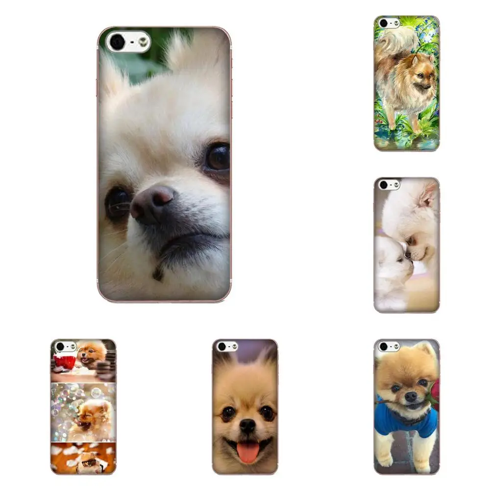 Мягкий индивидуальный дизайн для Apple iPhone 4 4S 5 5C 5S SE 6 6S 7 8 Plus X XS Max XR Pomeranian Puppy