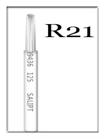 R21