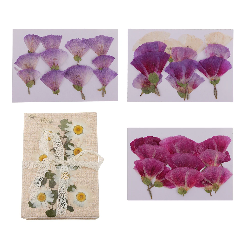MagiDeal 12x Pressed Real Godetia Flower Dried Flowers DIY Phone Case Scrapbook Craft Artificia Flowers for Wedding Invitations