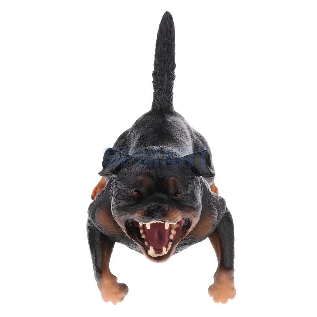 Simulation Wildlife Farm Pet Animal Model Action Figures Figurine Kid Educational Science Nature Toy Home Collectible Decoration