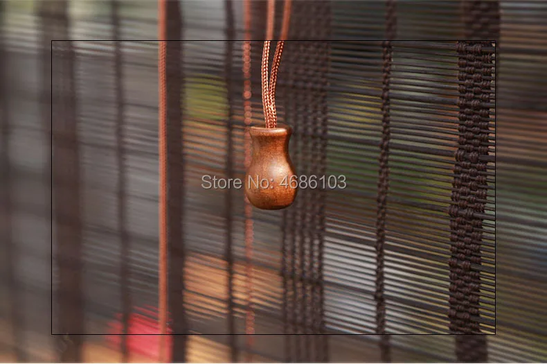 WDPBRB005 (8)