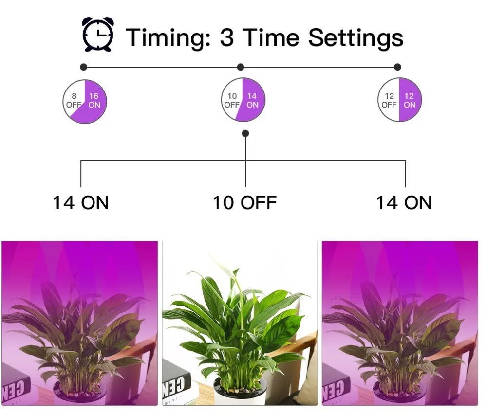 timer-2