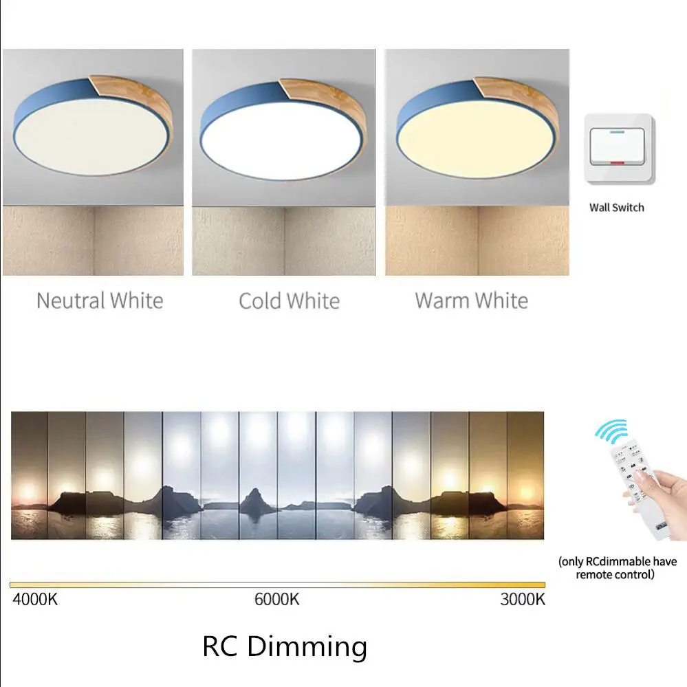 LED Ceiling Light2