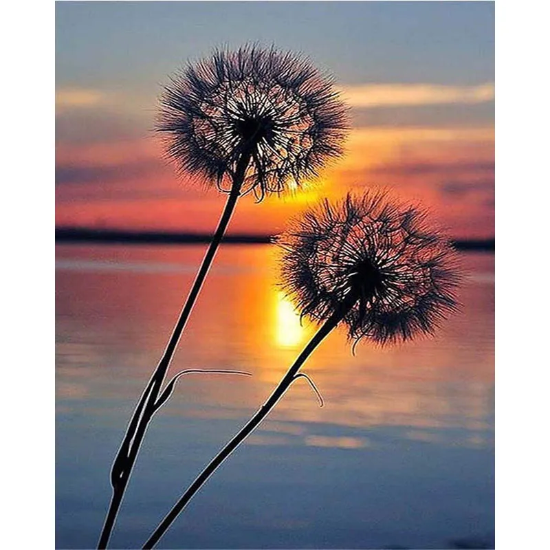 

frame Dandelion DIY Painting By Numbers Animals Hand painted Picture Paint By Numbers Gift For Home Decor