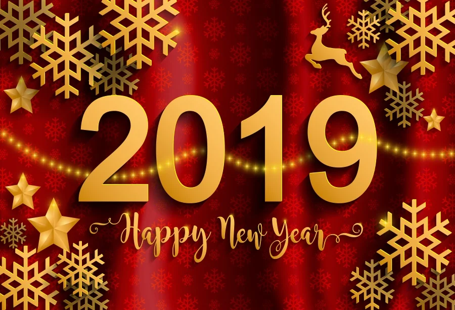 Laeacco счастливый новый год 2019 фон снежинка красный узор Плакат портрет для