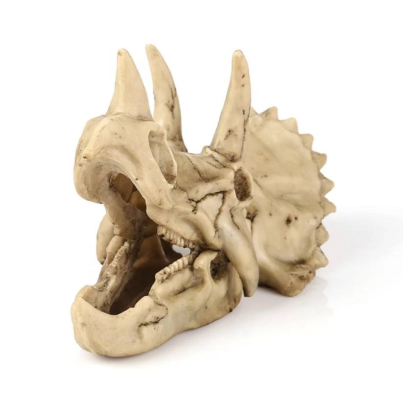 

18cm DIY Resin Dinosaur Triceratops Skull Bone Animal Model Craft Skeleton Educational Science Toy Gift Office Decoration