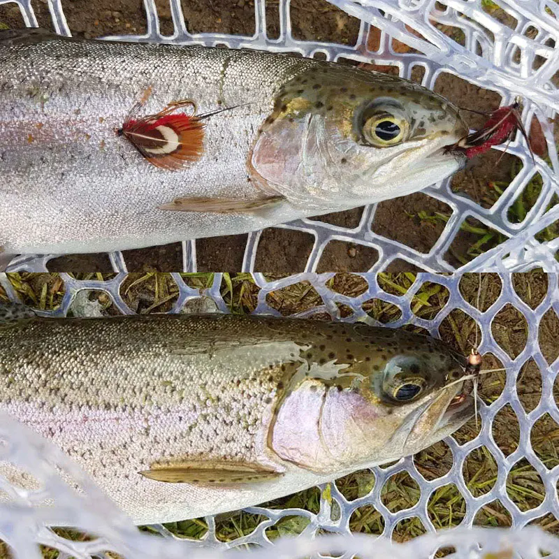 Набор приманок для рыбной ловли нахлыстом 225 шт.|dry fly|for troutnymph flies |