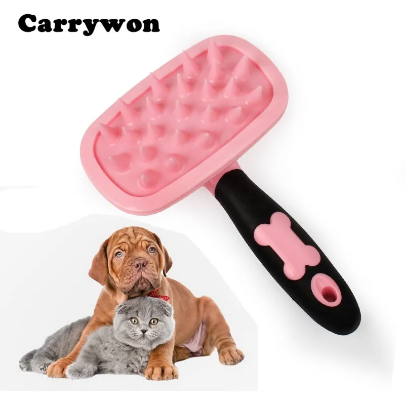 Dog ate silica beads bezydish