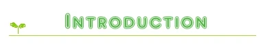 introduction3