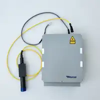Q-switched pulsed fiber lasers Raycus best Chinese fiber laser Raycus fiber laser soure for 30W fiber laser marking machine