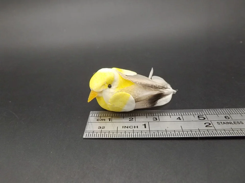 Tiny-A165-Brid (7)