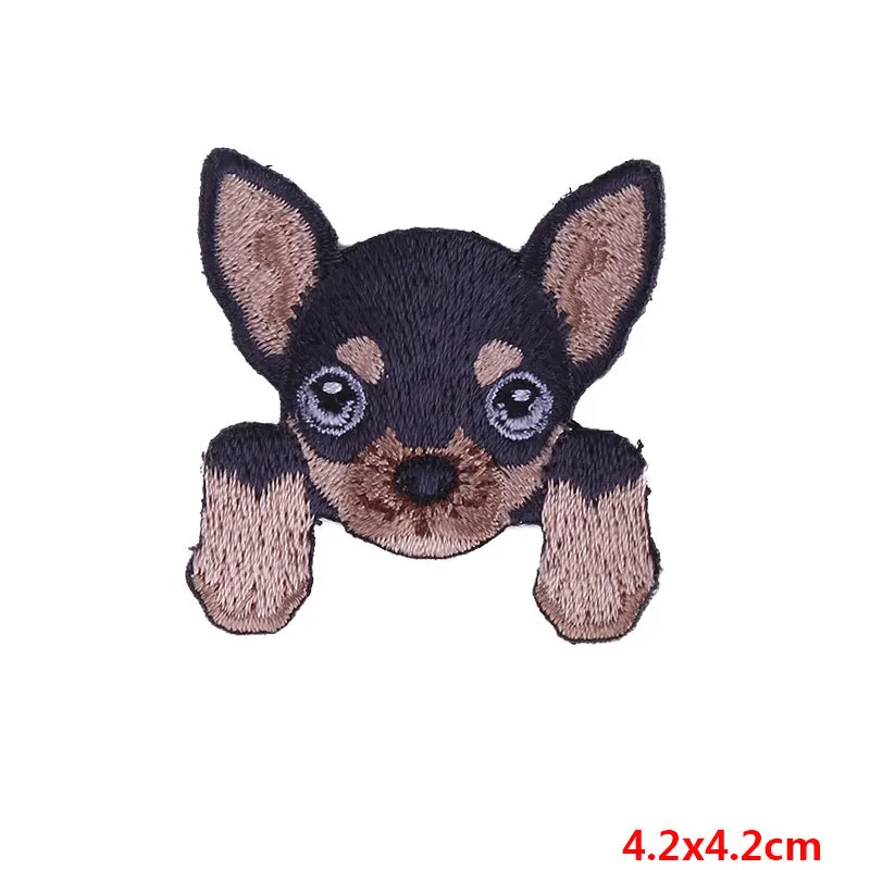 PE2227CT