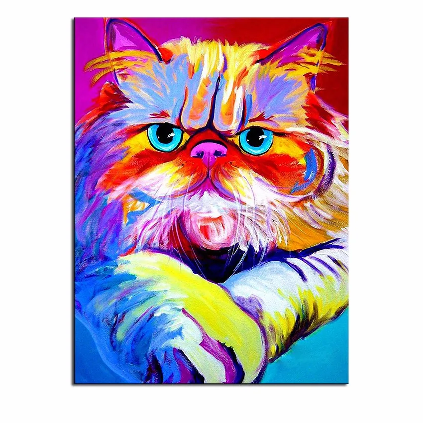 CAT-11-B