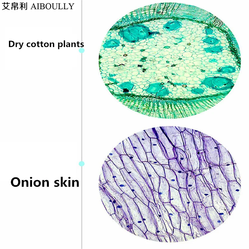 AIBOULLY Биологический микроскоп с зумом 1600 раз прибор для анализа крови животных и растений Студенческий микроскоп научный эксперимент
