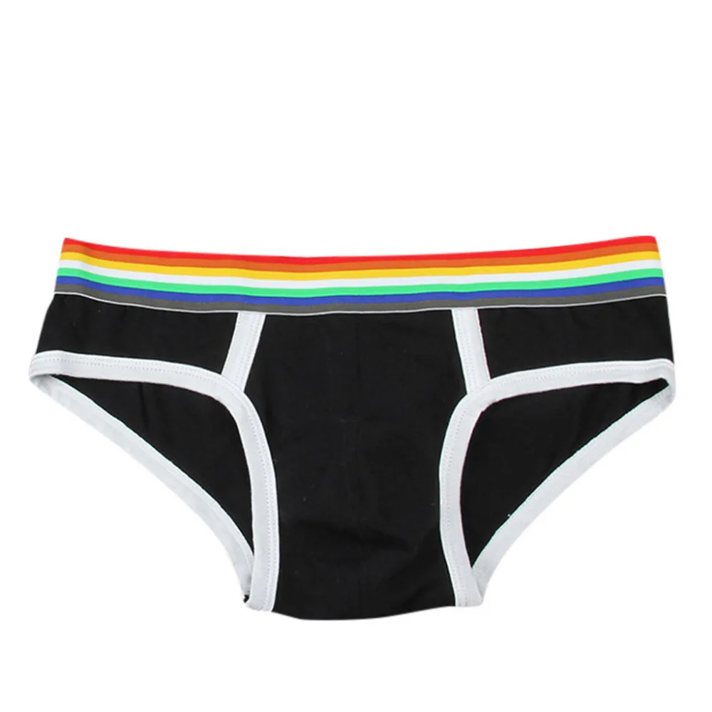 2019 Fashion men's multicolor briefs rainbow cotton briefs swimming shorts breathable men's underwear sexy briefs hombre 40J10 (4)