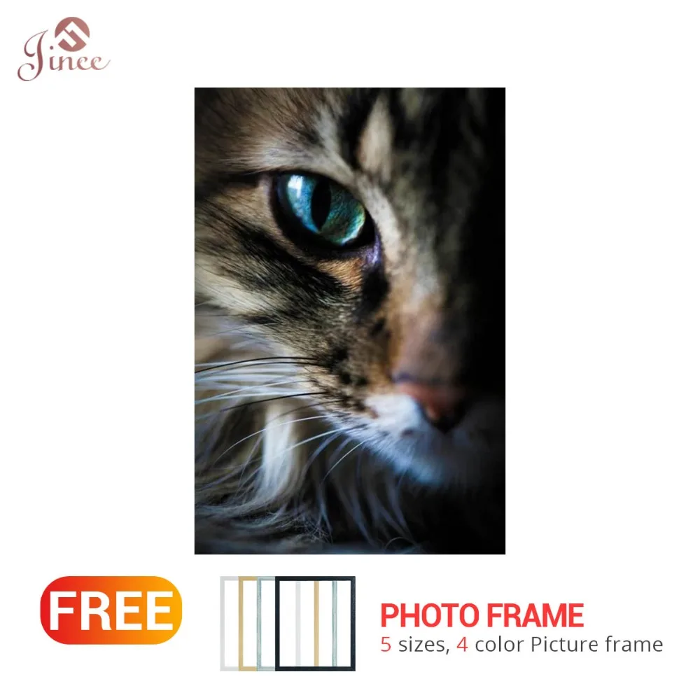

5D Diamond Paintings Animal Cats Cross Stitch Diamond Embroidery Full diamond Scenery rhinestones Home Decor gift