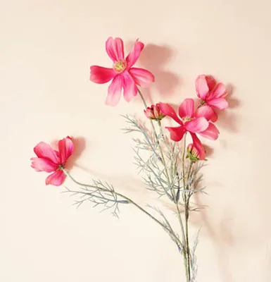 Искусственные весенние пейзажи Космос европейские высококачественные искусственные цветы ромашки искусственные растения домашний магазин Декор - Цвет: pink