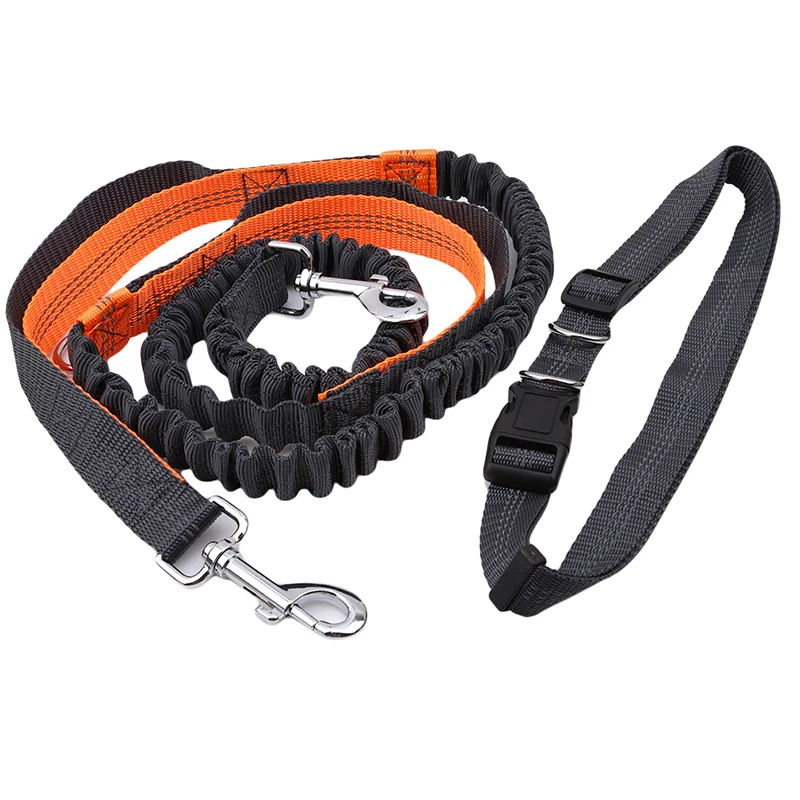 Dog Leash Free Control Up to Dogs, Durable Dual Handle Bungee Leash